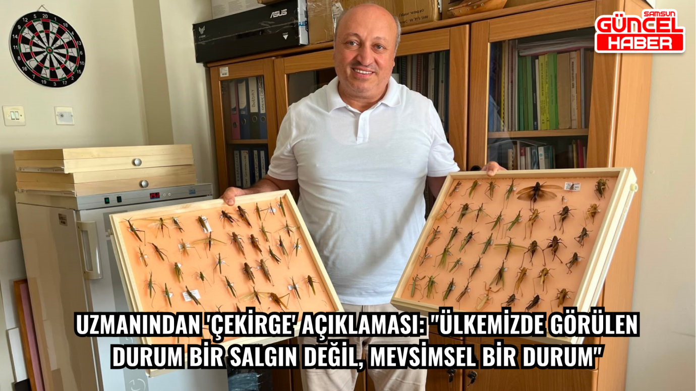 Uzmanından 'çekirge' açıklaması: 
