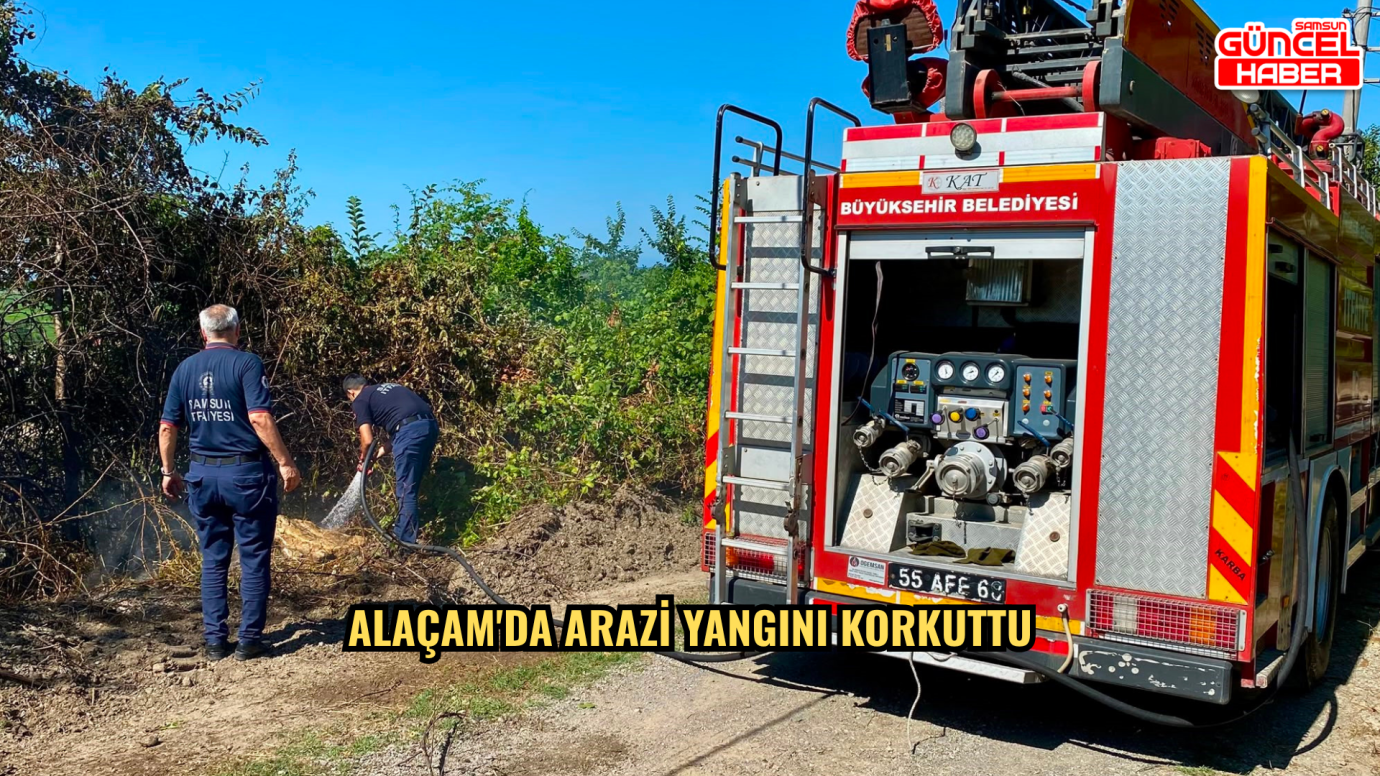 Alaçam'da arazi yangını korkuttu
