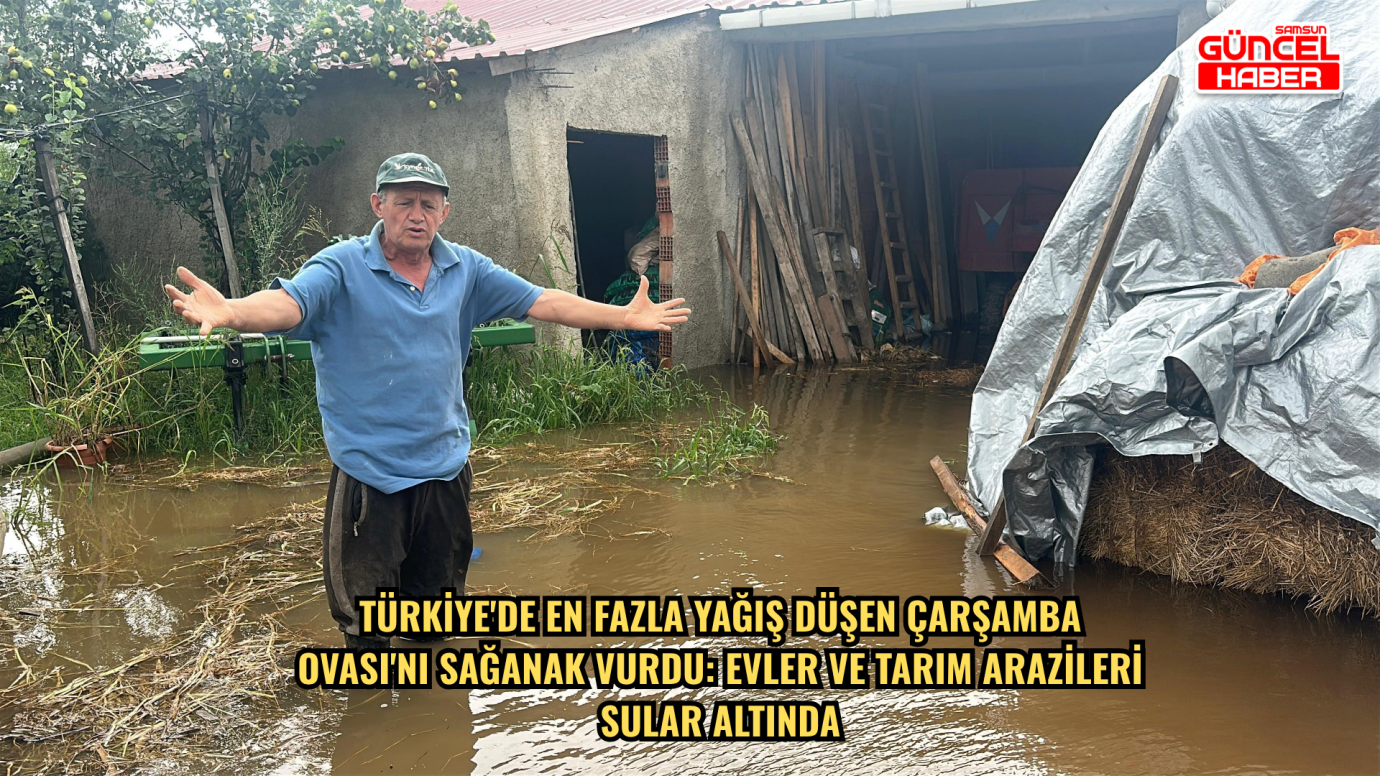 Türkiye'de en fazla yağış düşen Çarşamba Ovası'nı sağanak vurdu: Evler ve tarım arazileri sular altında