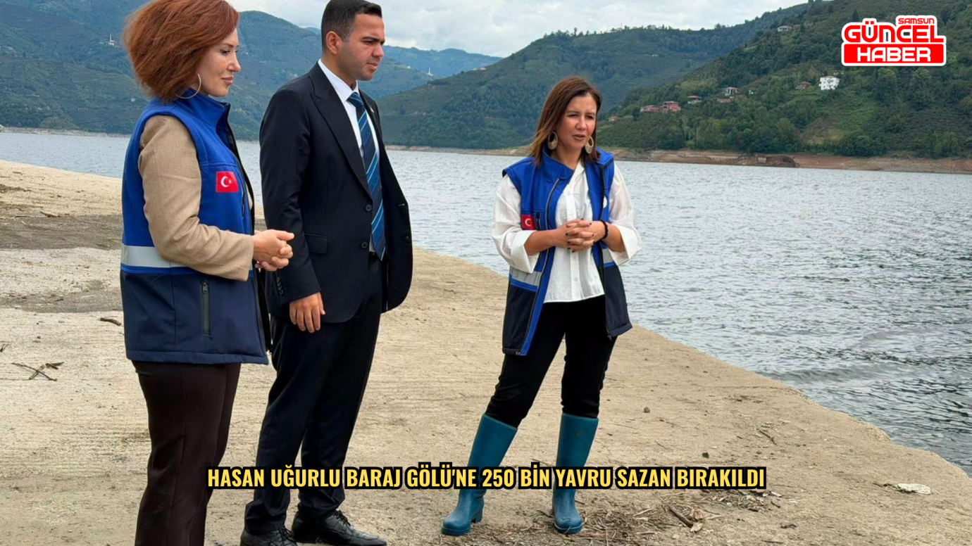  Hasan Uğurlu Baraj Gölü'ne 250 bin yavru sazan bırakıldı