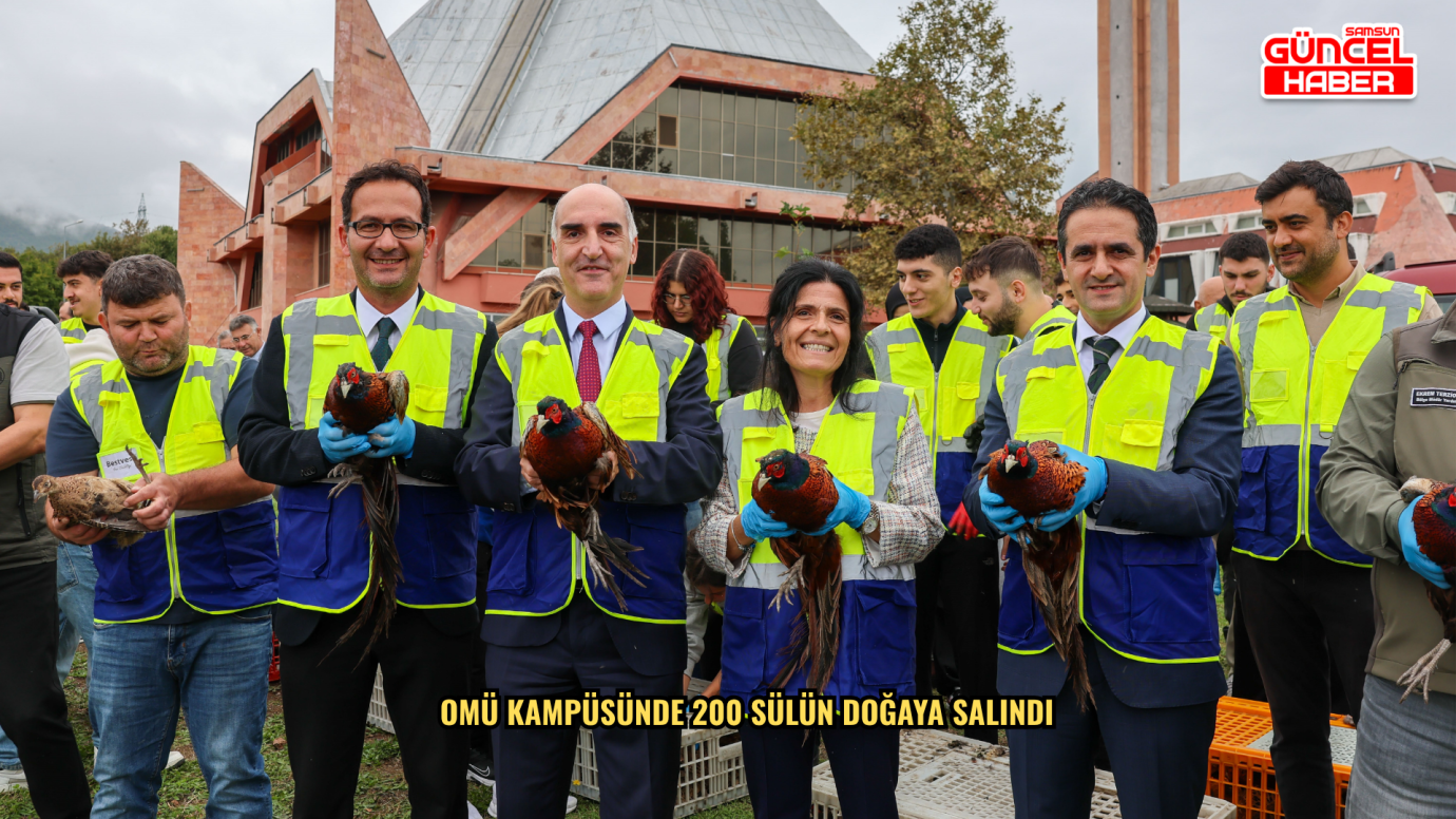 OMÜ kampüsünde 200 sülün doğaya salındı