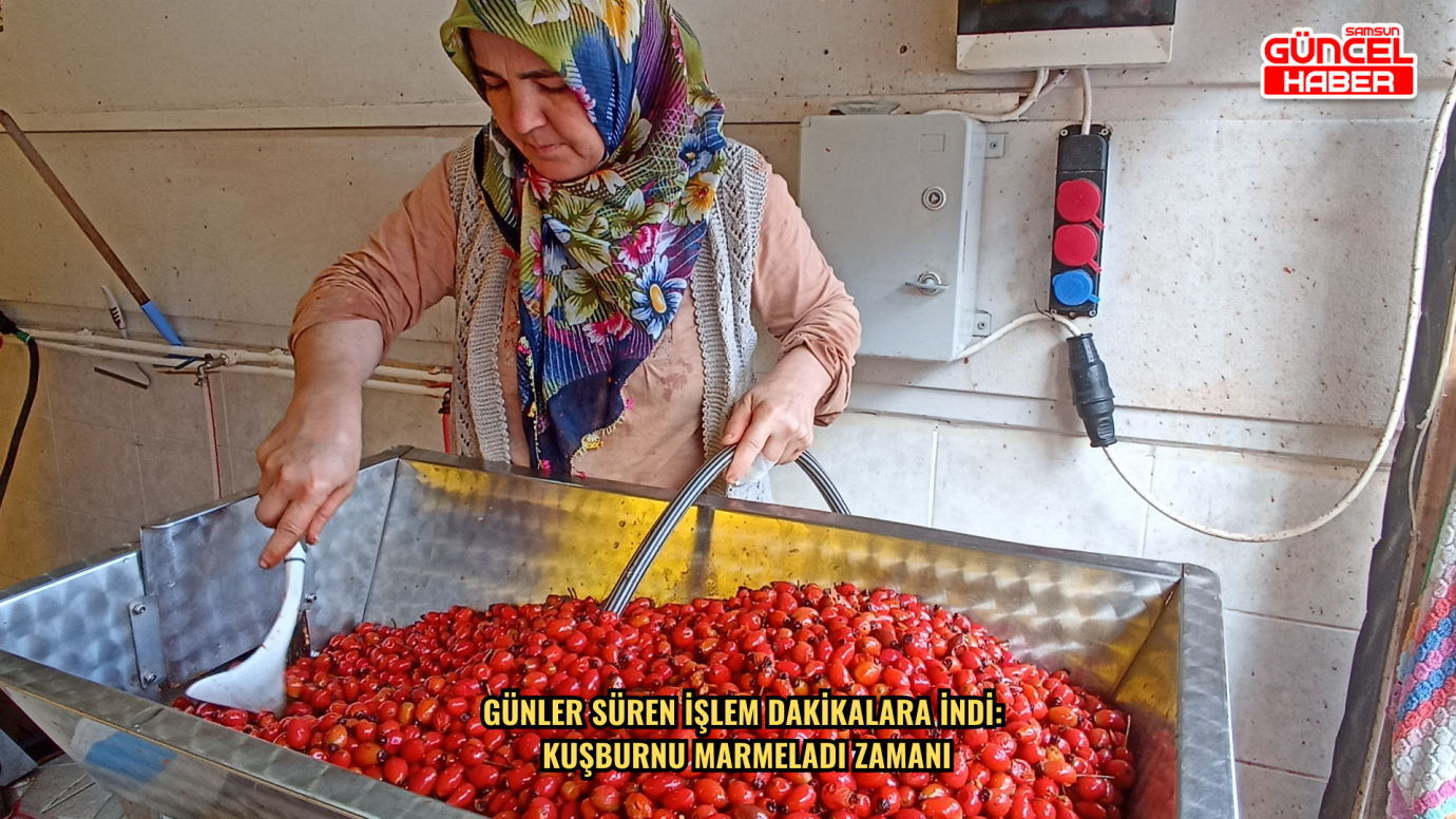 Günler süren işlem dakikalara indi: Kuşburnu marmeladı zamanı