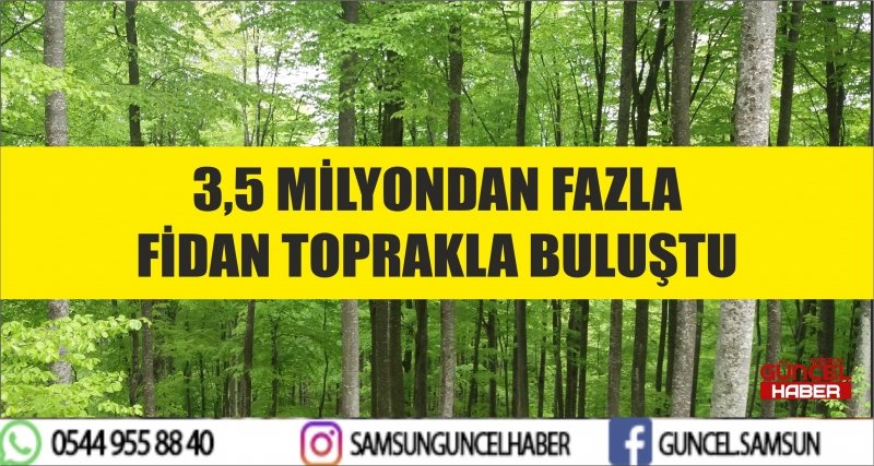 3,5 MİLYONDAN FAZLA FİDAN TOPRAKLA BULUŞTU