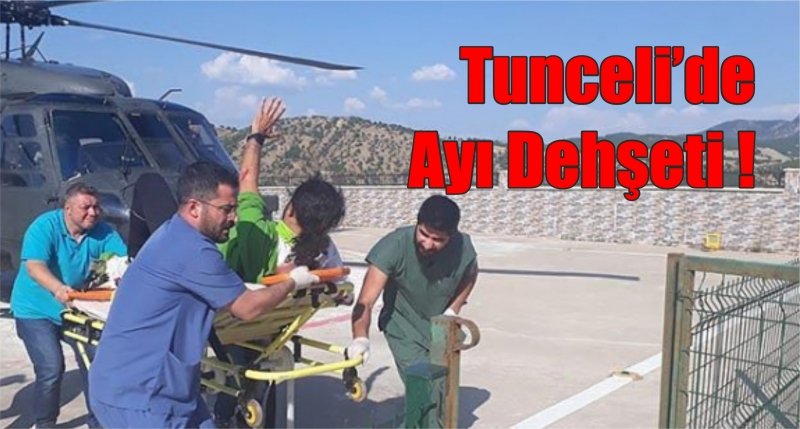 Ayı dehşeti! 