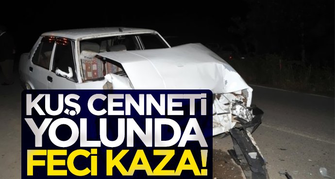 Bafra Kuş Cenneti yolunda feci kaza!