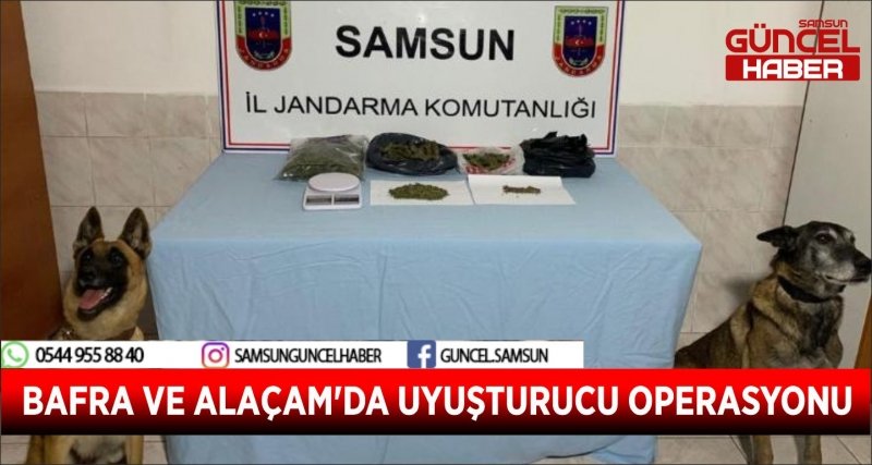 BAFRA VE ALAÇAM'DA UYUŞTURUCU OPERASYONU