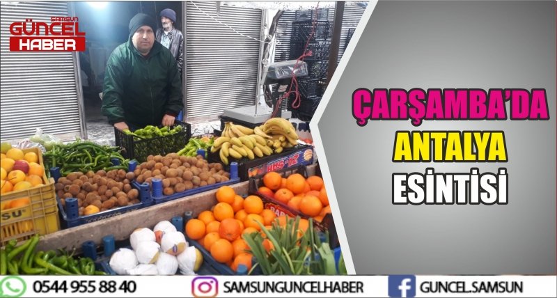 ÇARŞAMBA'DA ANTALYA ESİNTİSİ