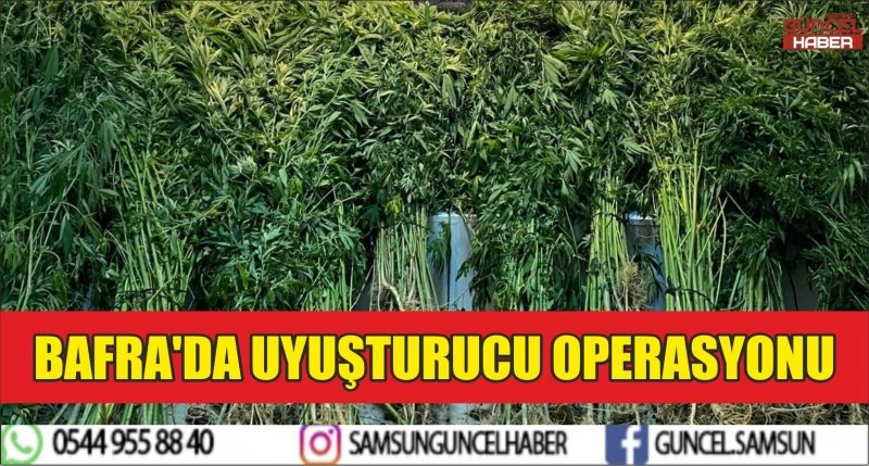 BAFRA'DA UYUŞTURUCU OPERASYONU