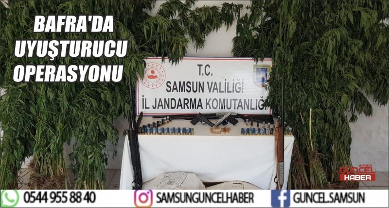 BAFRA'DA UYUŞTURUCU OPERASYONU