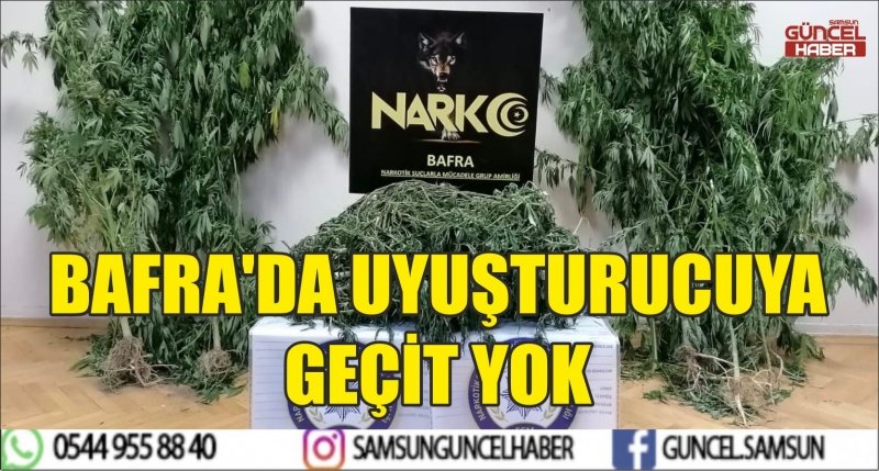 BAFRA'DA UYUŞTURUCUYA GEÇİT YOK