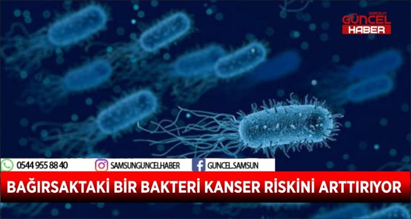 BAĞIRSAKTAKİ BİR BAKTERİ KANSER RİSKİNİ ARTTIRIYOR