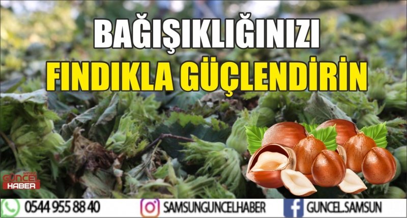 BAĞIŞIKLIĞINIZI FINDIKLA GÜÇLENDİRİN
