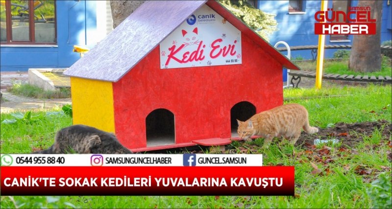 CANİK'TE SOKAK KEDİLERİ YUVALARINA KAVUŞTU