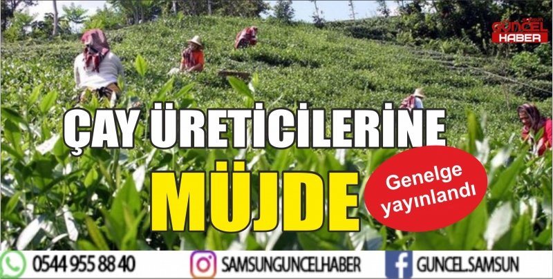 ÇAY ÜRETİCİLERİNE MÜJDE 