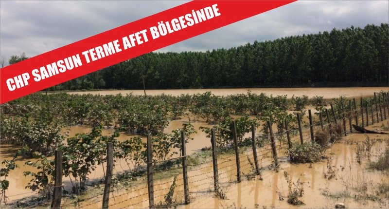 CHP SAMSUN TERME AFET BÖLGESİNDE