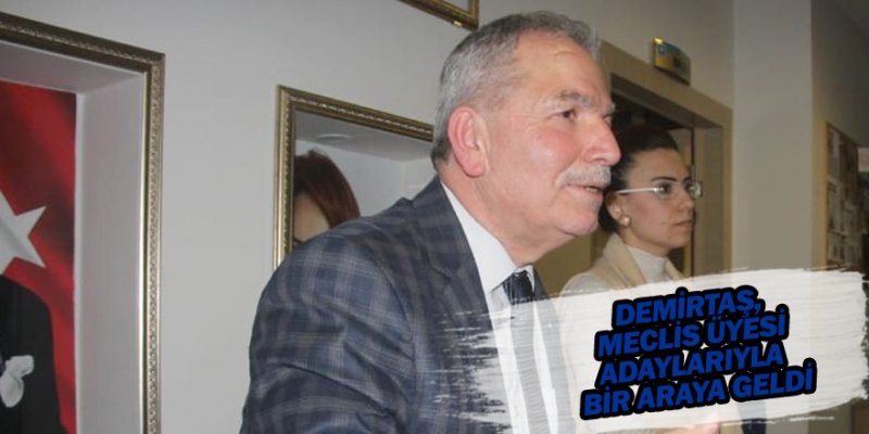 DEMİRTAŞ, 