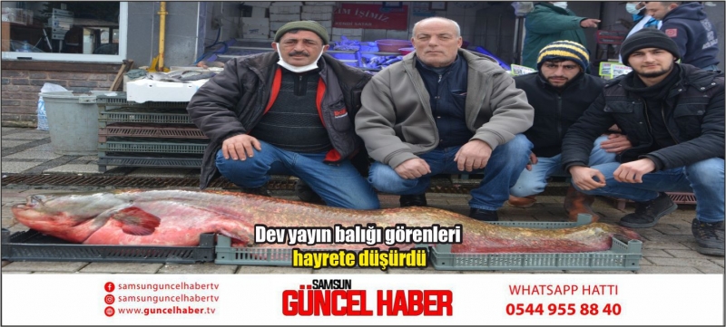 Dev yayın balığı görenleri hayrete düşürdü