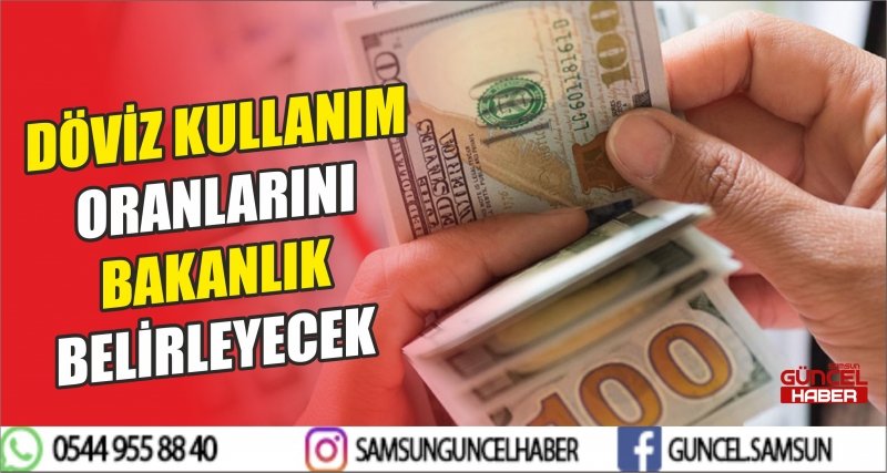 DÖVİZ KULLANIM ORANLARINI BAKANLIK BELİRLEYECEK