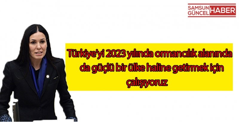 Dünya Ormancılık Günü