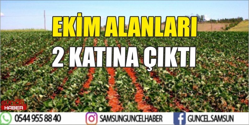 EKİM ALANLARI 2 KATINA ÇIKTI