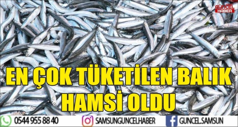 EN ÇOK TÜKETİLEN BALIK HAMSİ OLDU