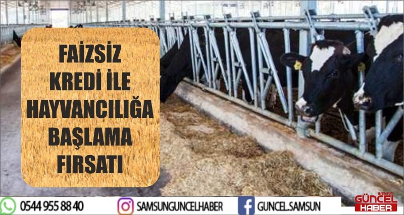 FAİZSİZ KREDİ İLE HAYVANCILIĞA BAŞLAMA FIRSATI