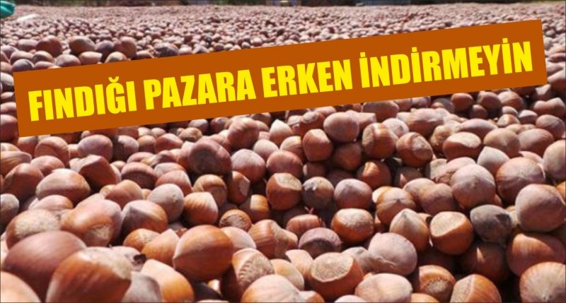 FINDIĞI PAZARA ERKEN İNDİRMEYİN