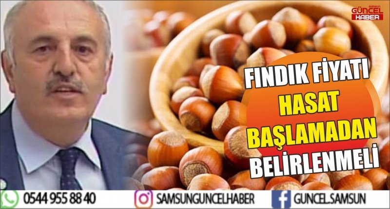 FINDIK FİYATI HASAT BAŞLAMADAN BELİRLENMELİ