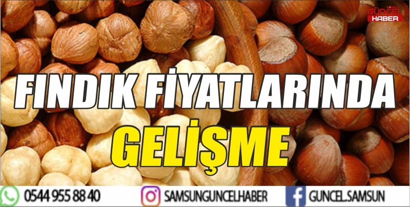 FINDIK FİYATLARINDA GELİŞME