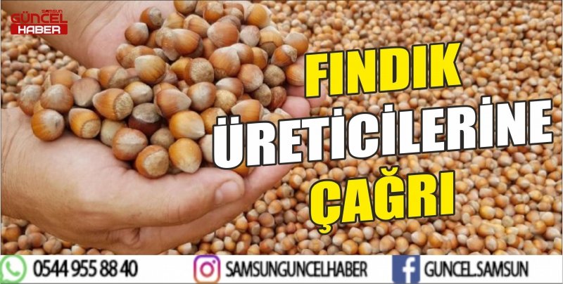 FINDIK ÜRETİCİLERİNE ÇAĞRI