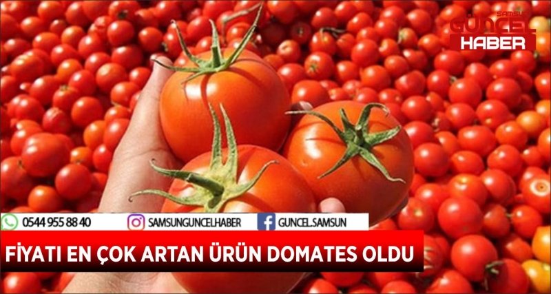 FİYATI EN ÇOK ARTAN ÜRÜN DOMATES OLDU