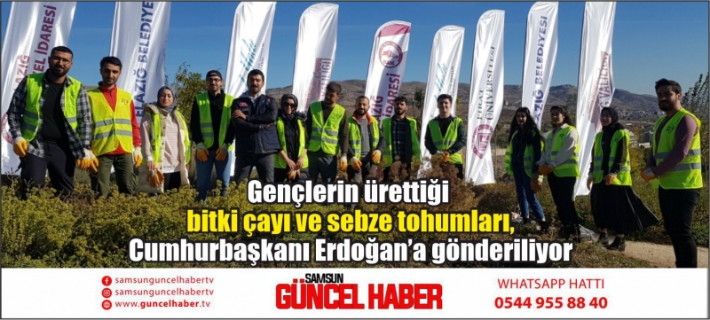Gençlerin ürettiği bitki çayı ve sebze tohumları, Cumhurbaşkanı Erdoğan’a gönderiliyor