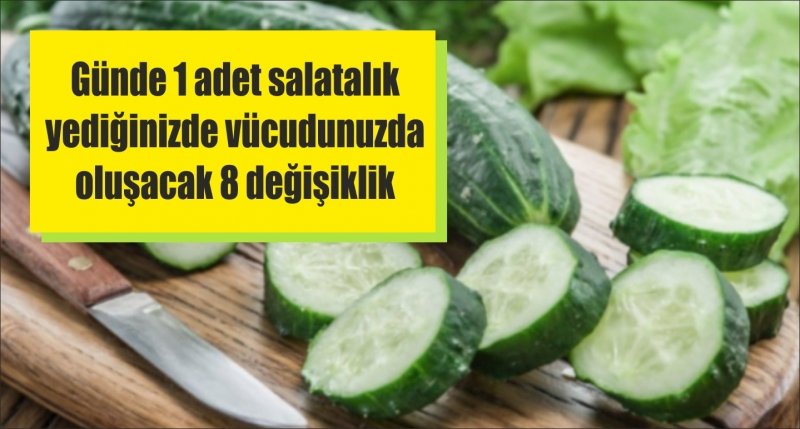 Günde 1 adet salatalık yediğinizde vücudunuzda oluşacak 8 değişiklik