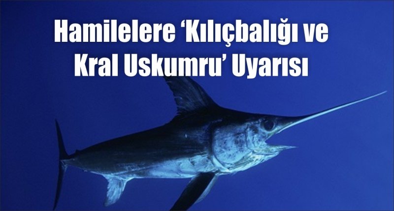 Hamilelere ‘Kılıçbalığı ve Kral Uskumru’ Uyarısı