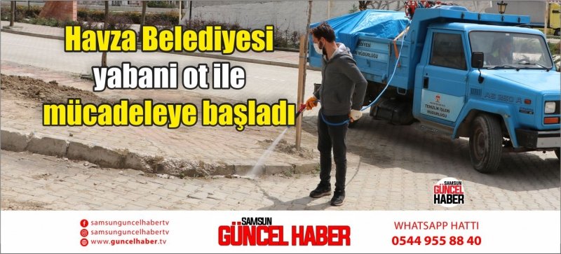 Havza Belediyesi yabani ot ile mücadeleye başladı