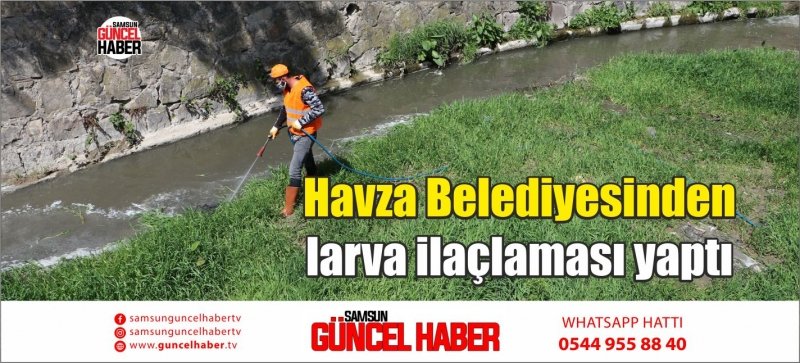 Havza Belediyesinden larva ilaçlaması yaptı