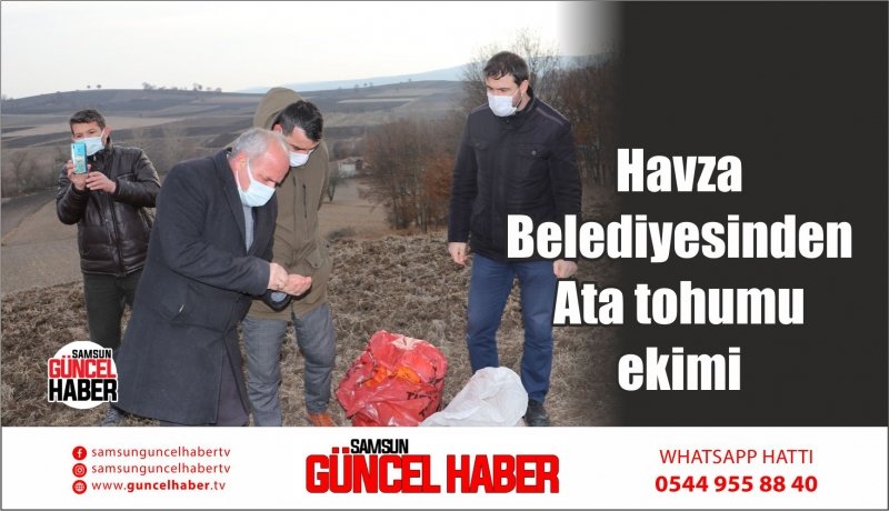 Havza Belediyesinden Ata tohumu ekimi