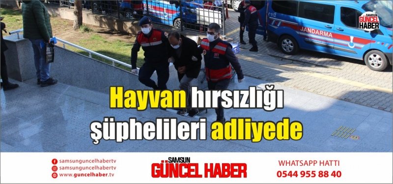 Hayvan hırsızlığı şüphelileri adliyede