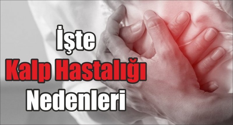 İşte Kalp Hastalığı Nedenleri