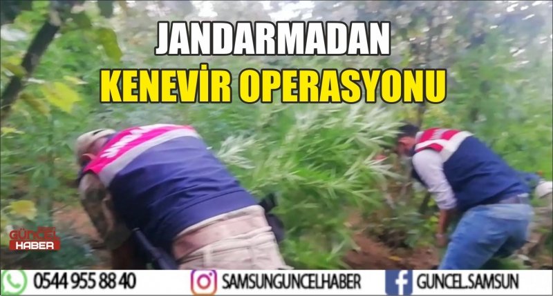 JANDARMADAN KENEVİR OPERASYONU