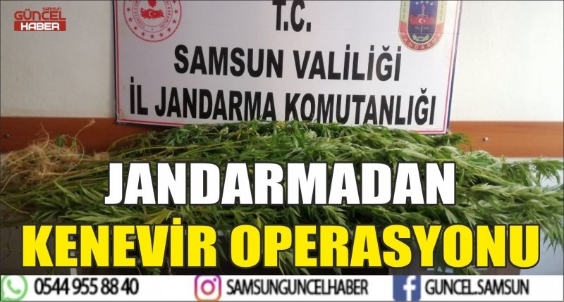 JANDARMADAN KENEVİR OPERASYONU