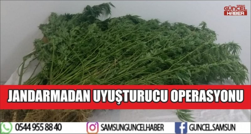 JANDARMADAN UYUŞTURUCU OPERASYONU