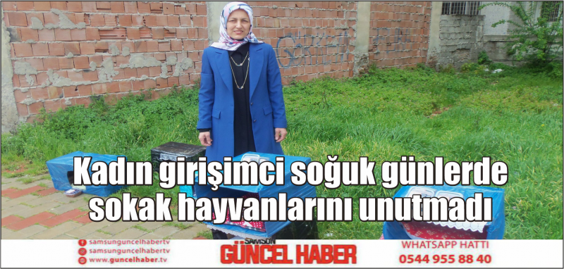 Kadın girişimci soğuk günlerde sokak hayvanlarını unutmadı