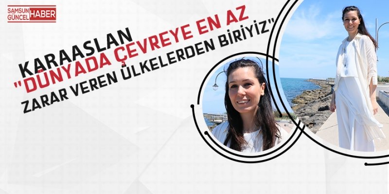 Karaaslan:
