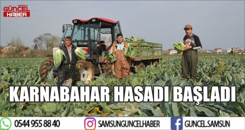 KARNABAHAR HASADI BAŞLADI