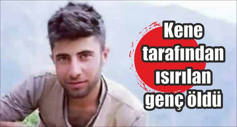 Kene tarafından ısırılan genç öldü 