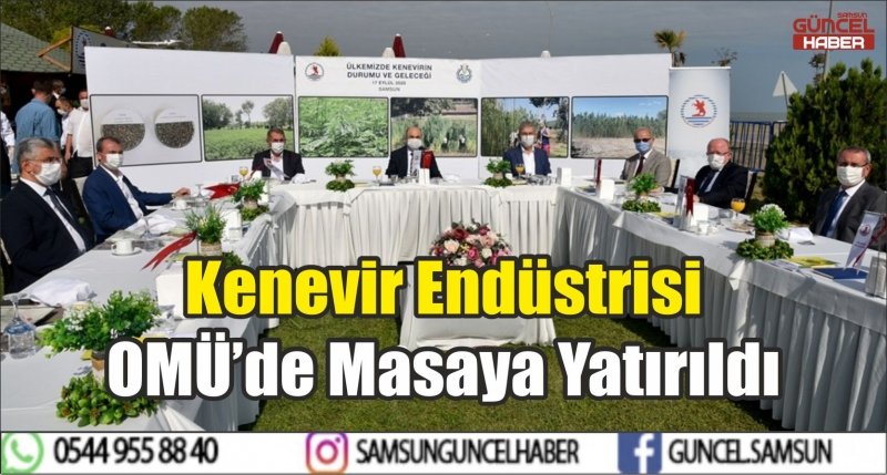 Kenevir Endüstrisi OMÜ’de Masaya Yatırıldı 