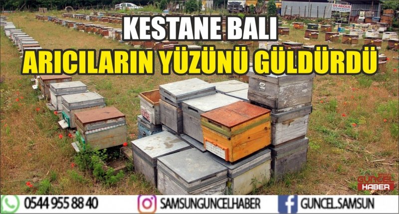KESTANE BALI ARICILARIN YÜZÜNÜ GÜLDÜRDÜ