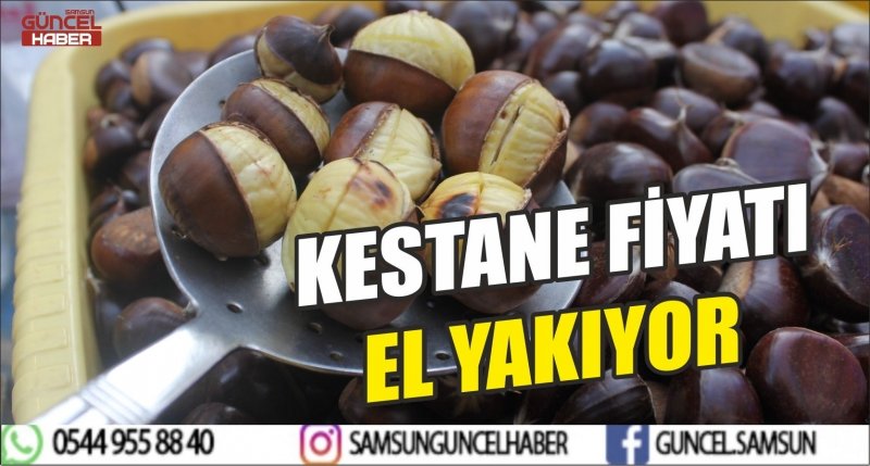 KESTANE FİYATI EL YAKIYOR