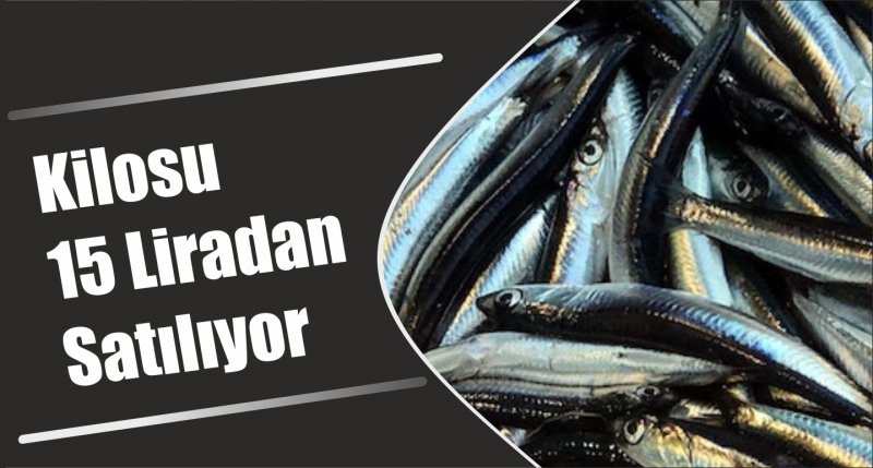 Kilosu 15 Liradan Satılıyor
